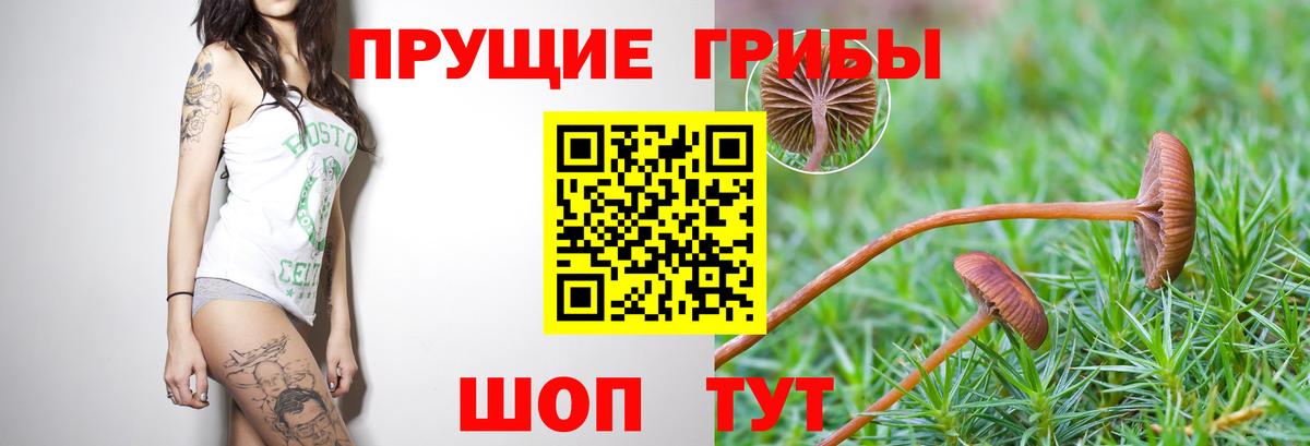 Псилоцибиновые грибы прущие грибы  Галлюциногенные грибы Cubensis  Вход с VPN  Вятские Поляны 